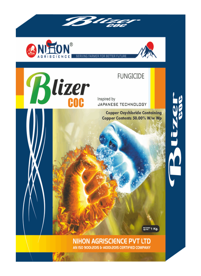 B187.Bilzer COC