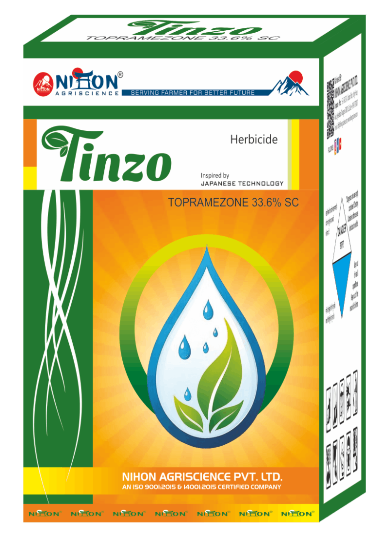 B252.Tinzo