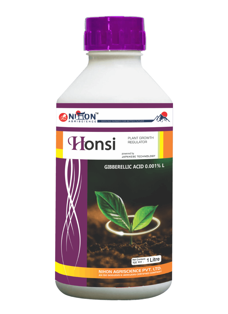 B37.Honsi