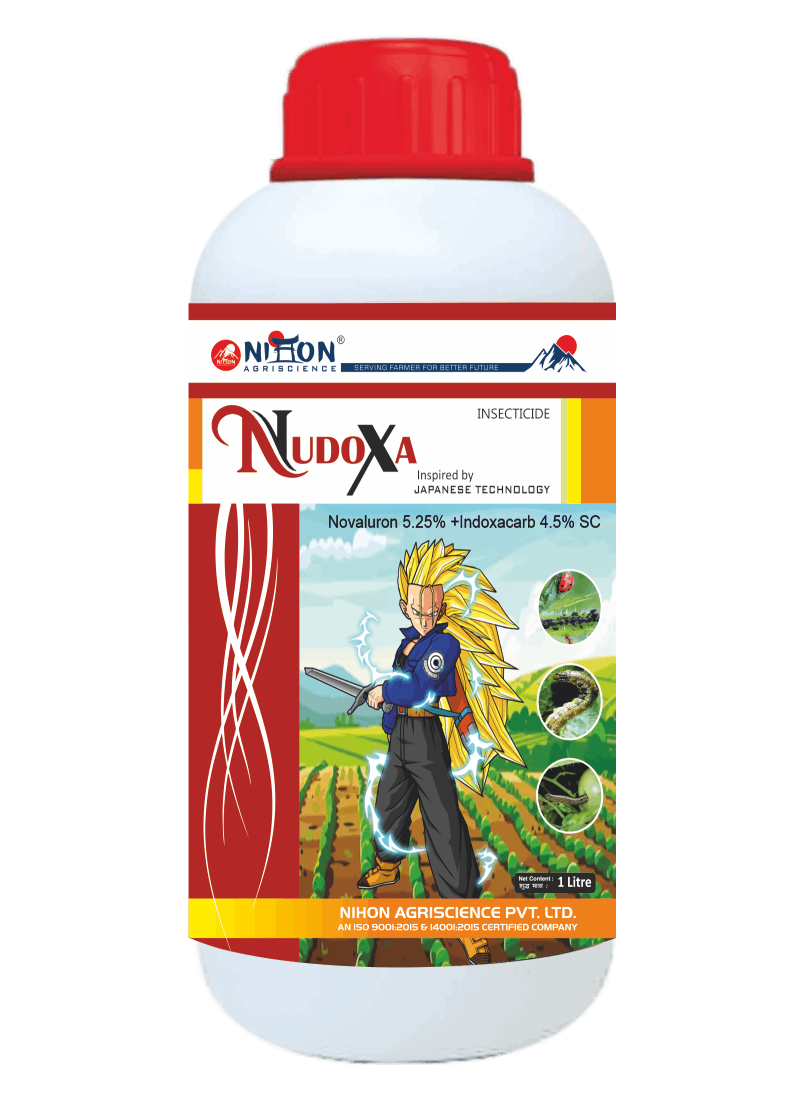 D251.Nudoxa